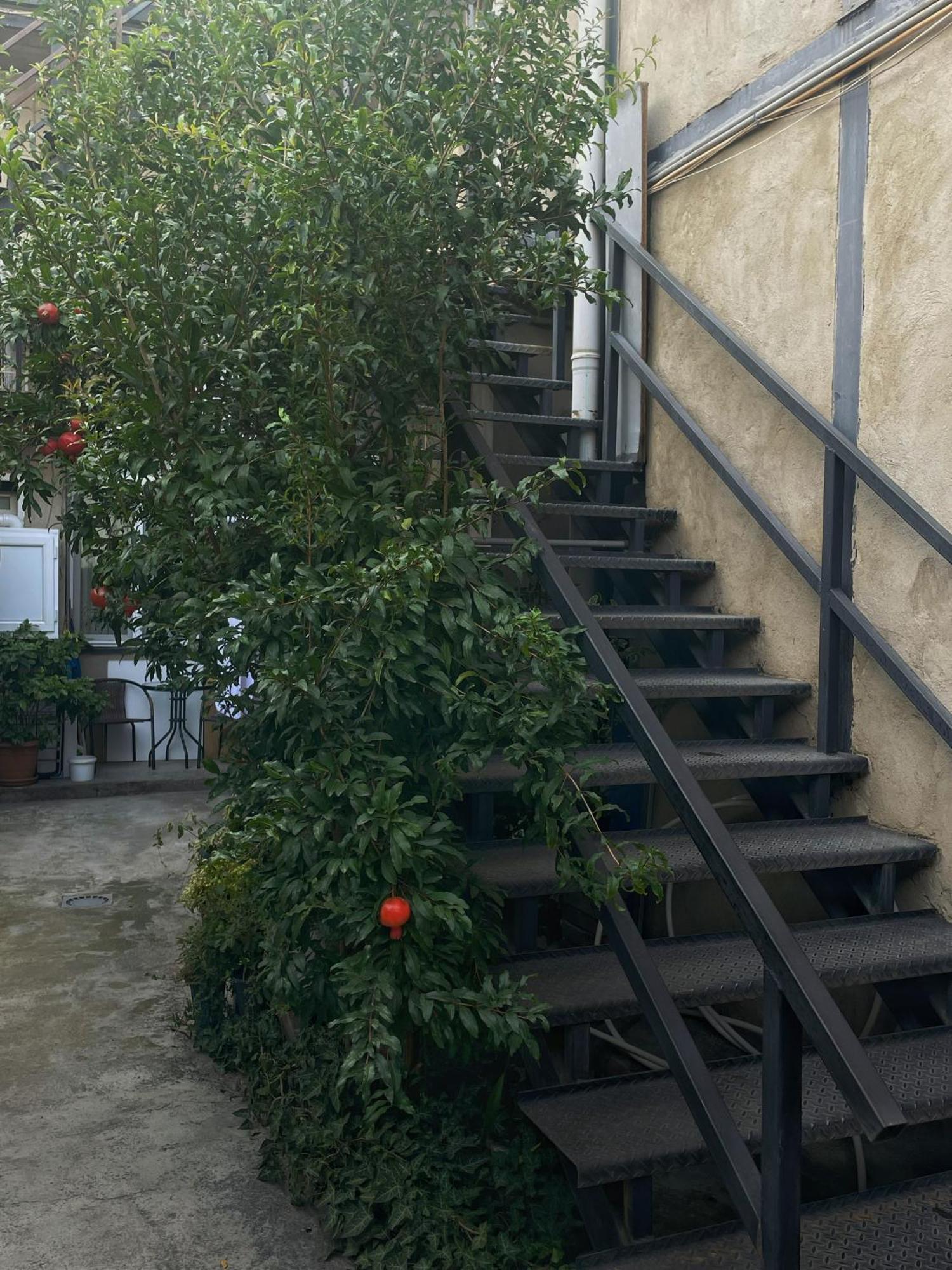 Hotel Natali Tbilisi Esterno foto